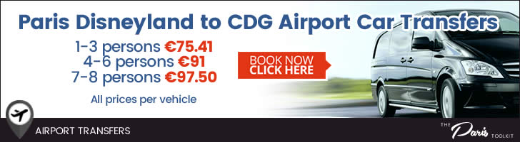 Paris Disneyland To CDG Airport Private Car Transfer